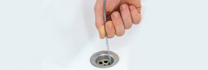 A drain snake